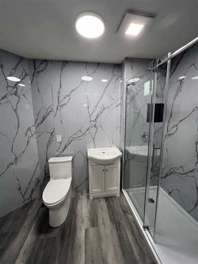 Laundry to Bathroom Conversion