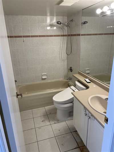 Luxury Condo Renovation