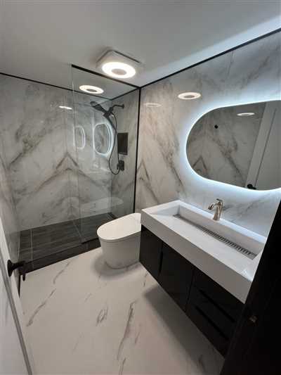 Luxury Condo Renovation