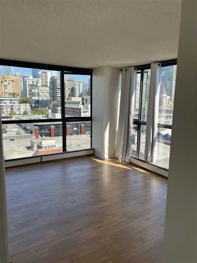 Luxury Condo Renovation