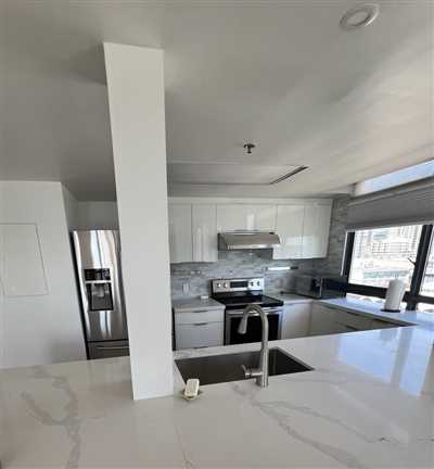 Luxury Condo Renovation