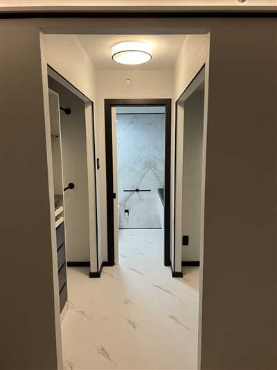 Luxury Condo Renovation