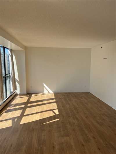 Luxury Condo Renovation