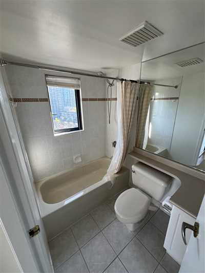 Luxury Condo Renovation