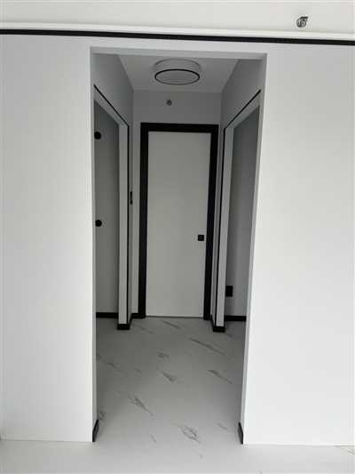 Luxury Condo Renovation