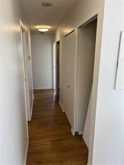 Luxury Condo Renovation