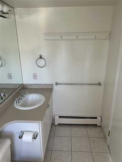 Luxury Condo Renovation