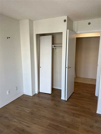 Luxury Condo Renovation