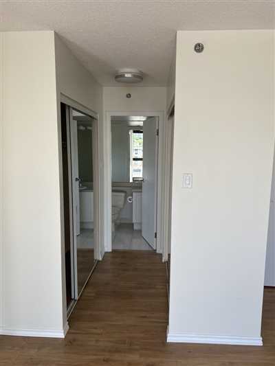 Luxury Condo Renovation
