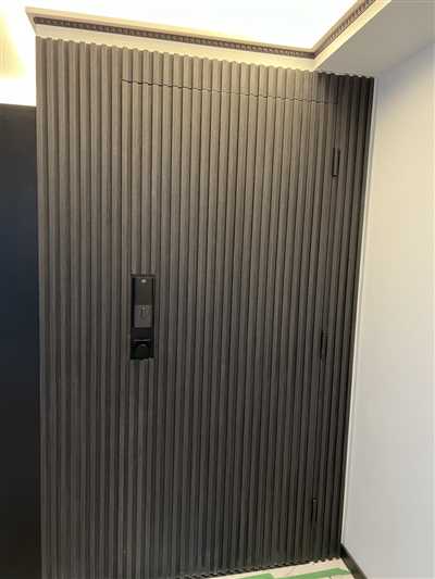 Luxury Condo Renovation
