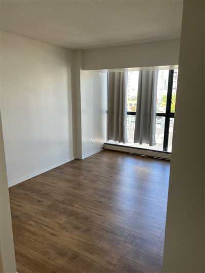 Luxury Condo Renovation